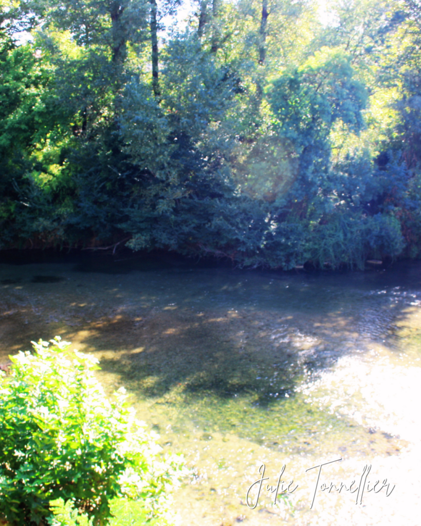 Rivière ombragée à Vidauban