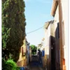 Carte postale Collection Vidauban 2025 — visuel 10