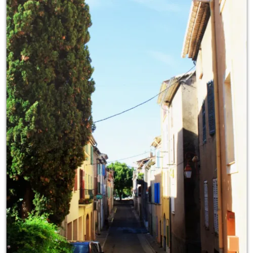 Carte postale Collection Vidauban 2025 — visuel 10