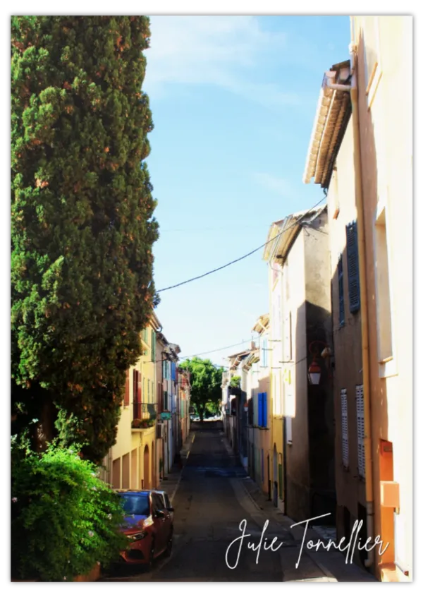 Carte postale Collection Vidauban 2025 — visuel 10