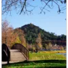 Carte postale Collection Vidauban 2025 — visuel 16