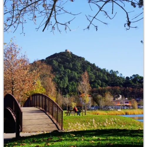 Carte postale Collection Vidauban 2025 — visuel 16