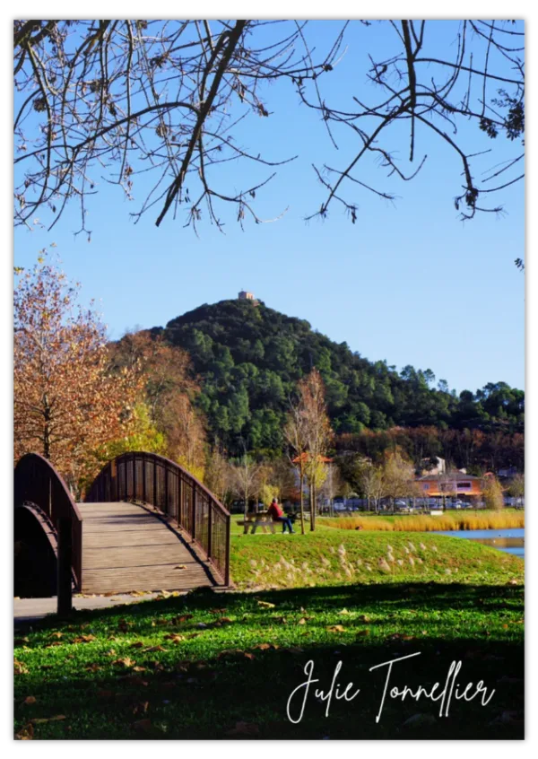 Carte postale Collection Vidauban 2025 — visuel 16