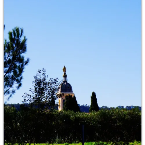 Carte postale Collection Vidauban 2025 — visuel 17