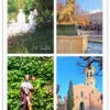 Carte postale Collection Vidauban 2025 — visuel 03