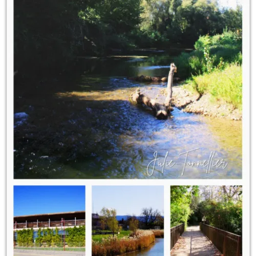Carte postale Collection Vidauban 2025 — visuel 05
