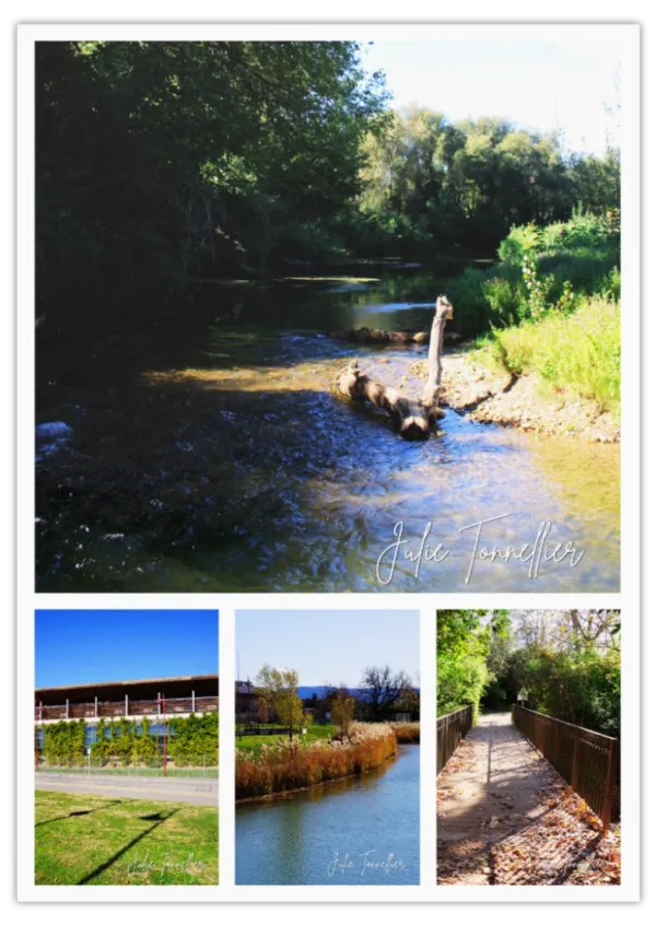 Carte postale Collection Vidauban 2025 — visuel 05