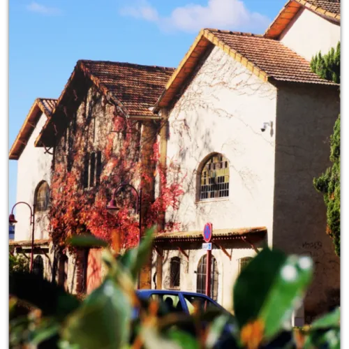 Carte postale Collection Vidauban 2025 — visuel 01