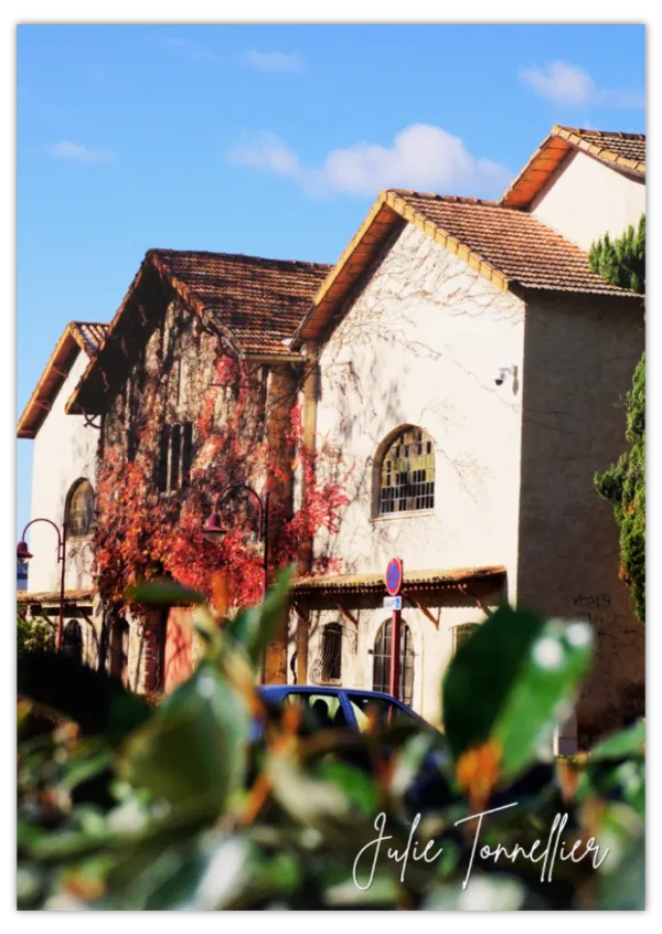 Carte postale Collection Vidauban 2025 — visuel 01