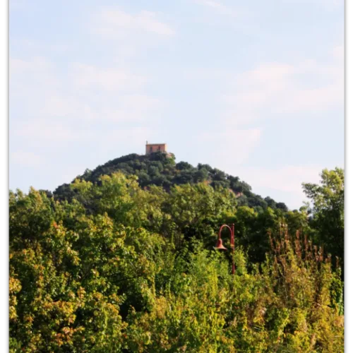 Carte postale Collection Vidauban 2025 — visuel 07