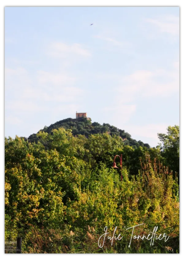 Carte postale Collection Vidauban 2025 — visuel 07
