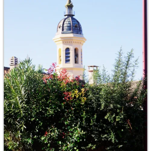 Carte postale Collection Vidauban 2025 — visuel 08
